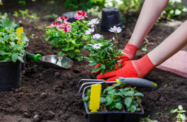 mô tả công việc nhân viên làm vườn